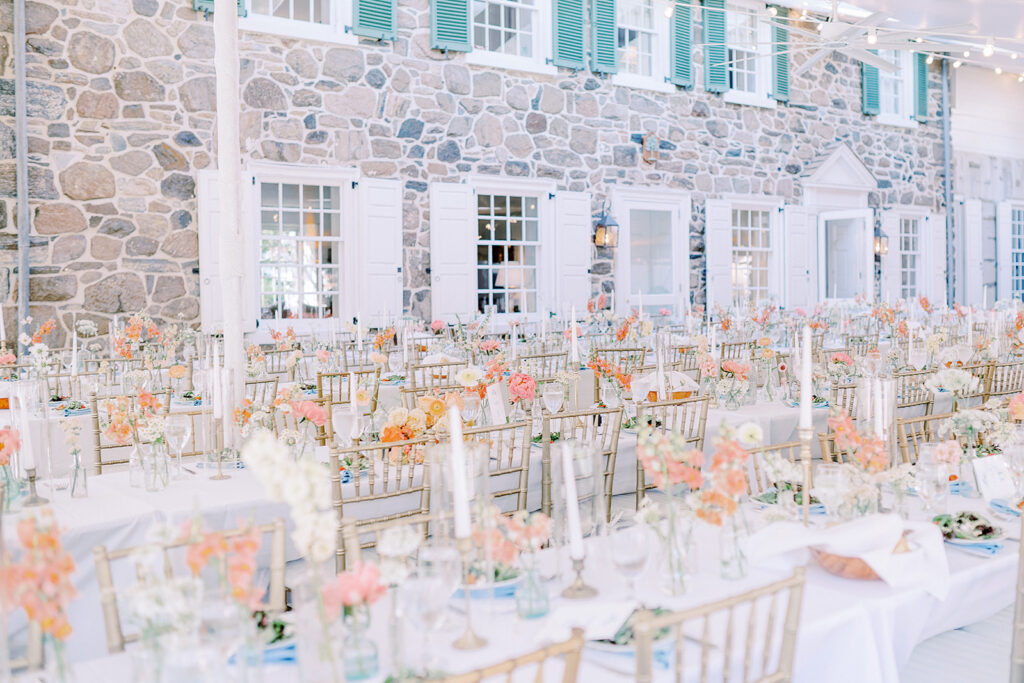 Carly Landolt Photography