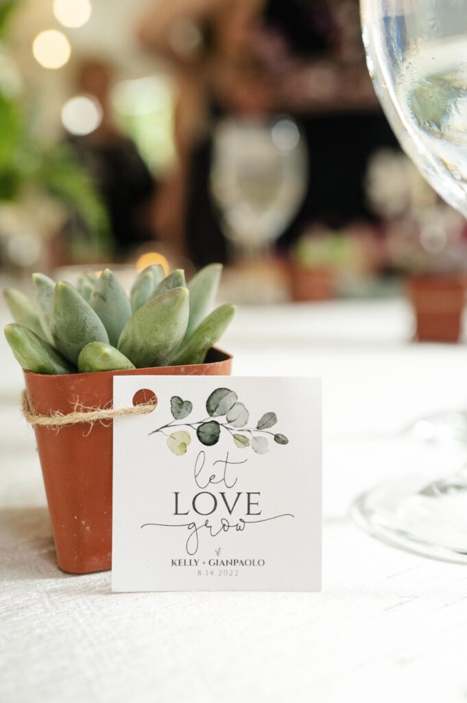 Abbe Foreman Photography