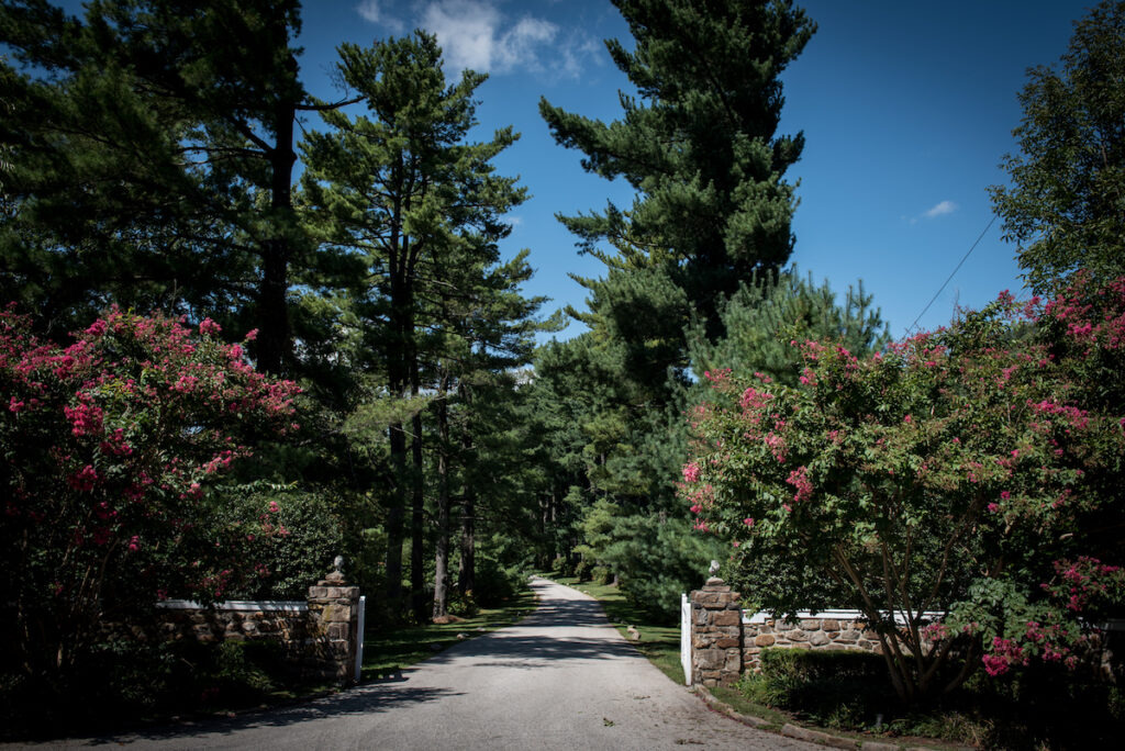 Amber Johnston Photography