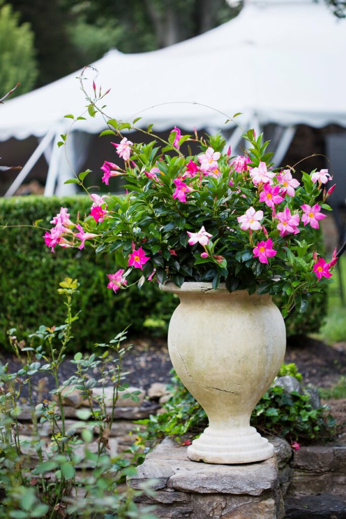 Mariya Stecklair Photography