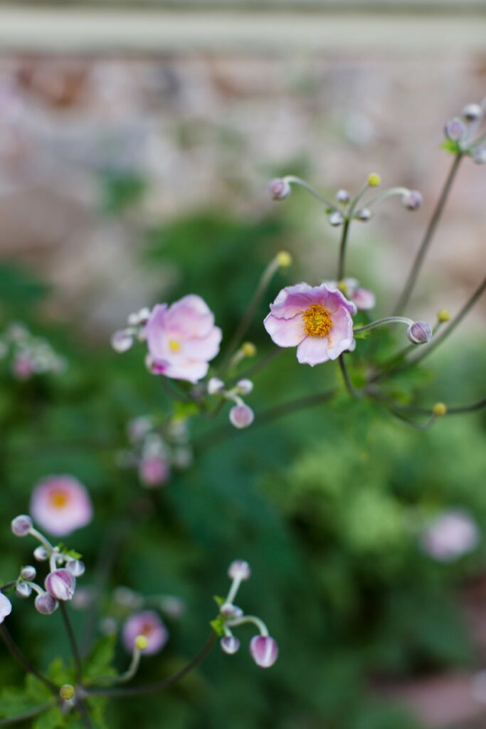 Mariya Stecklair Photography - Appleford