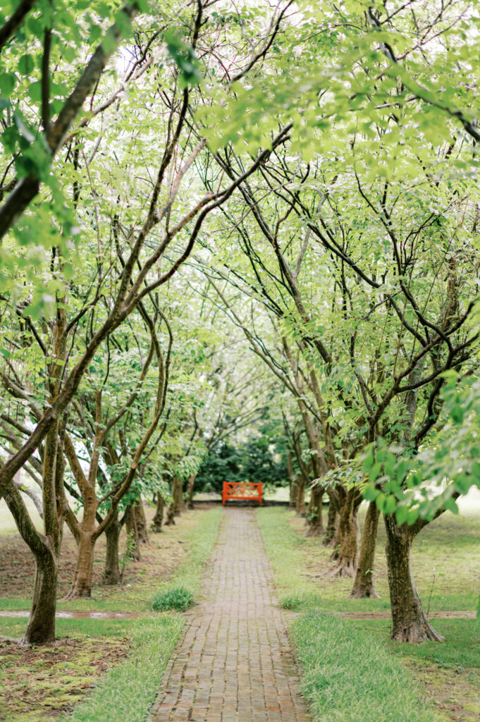 Lindsay Ford Photography