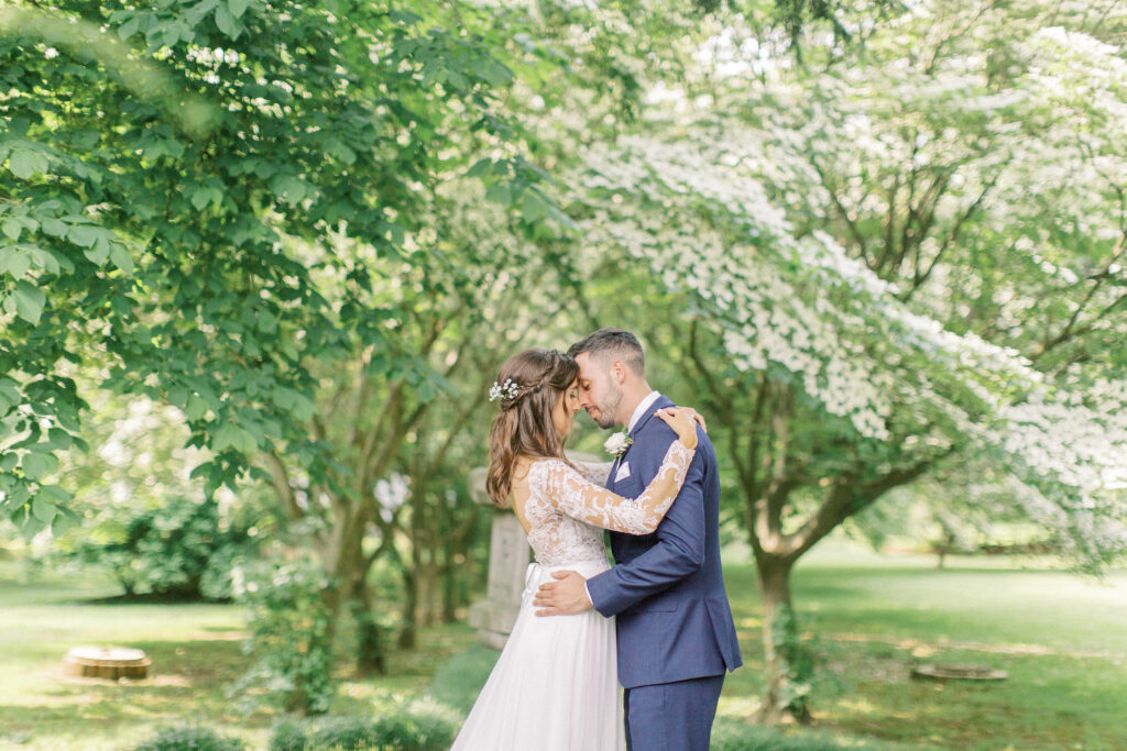 Ashley Errington Photography - Alee of Trees