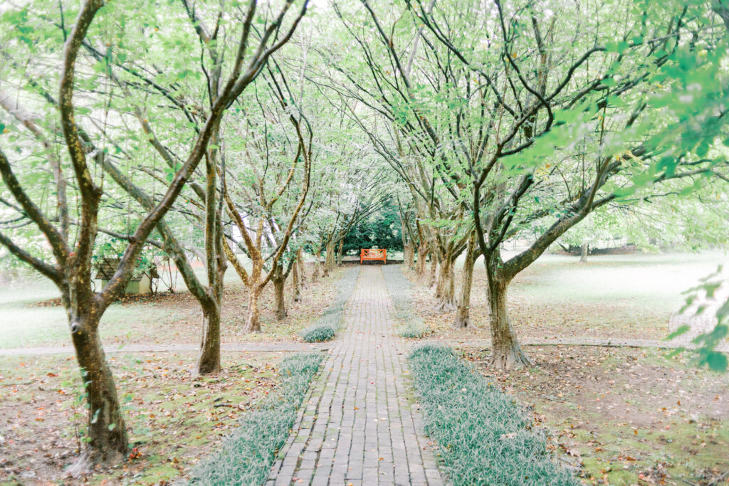 Laura Gares Photography