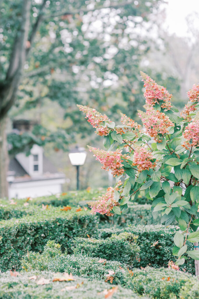 Laura Gares Photography