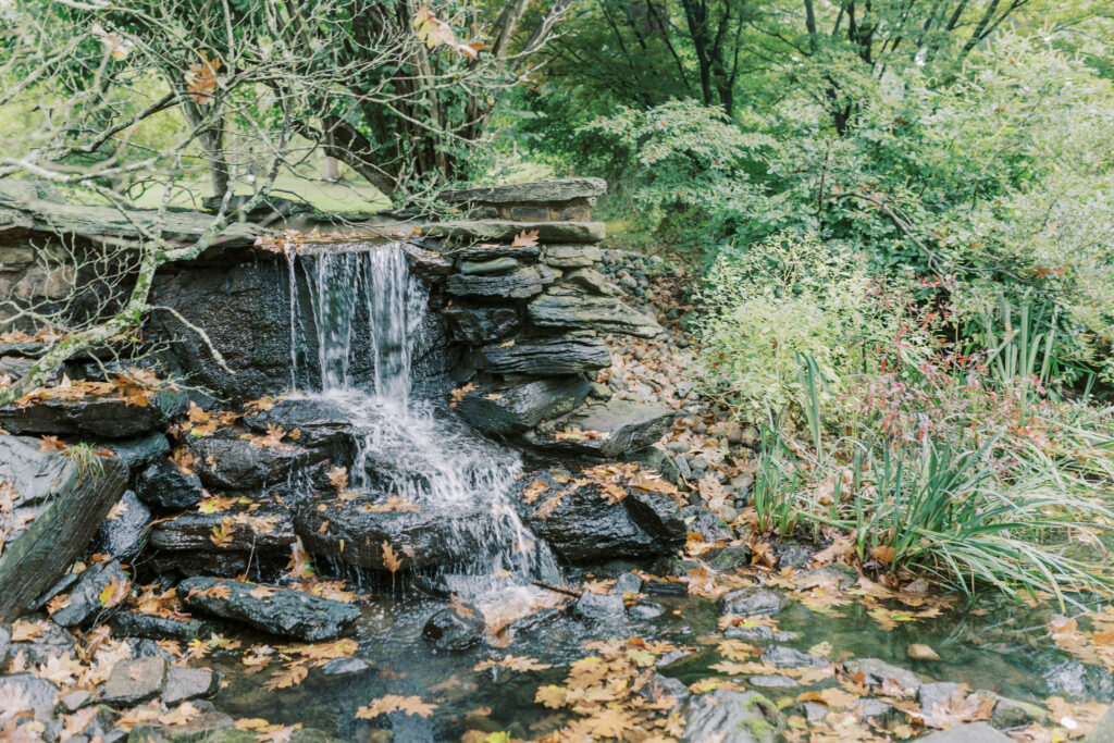 Laura Gares Photography