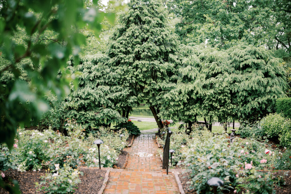 Lindsey Ford Photography