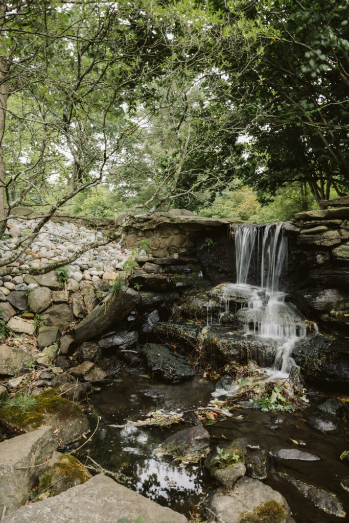 Justin Johnson Photography