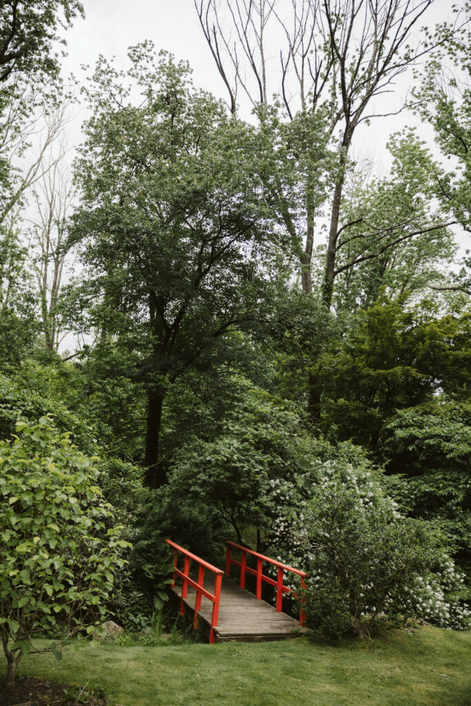 Justin Johnson Photography