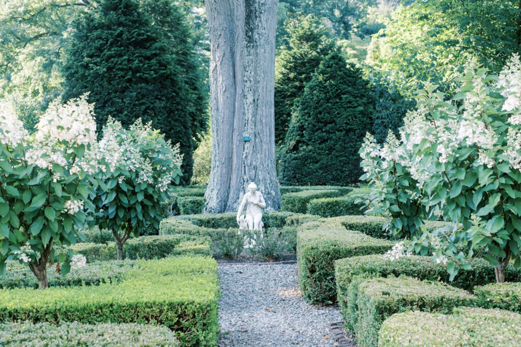 Denise Marie Photography