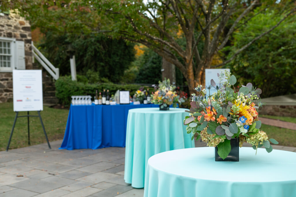 Jaci Downs Photography