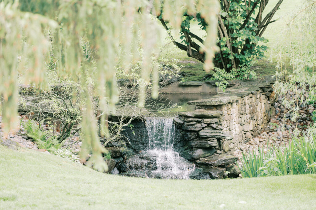 Lindsey Ford Photography