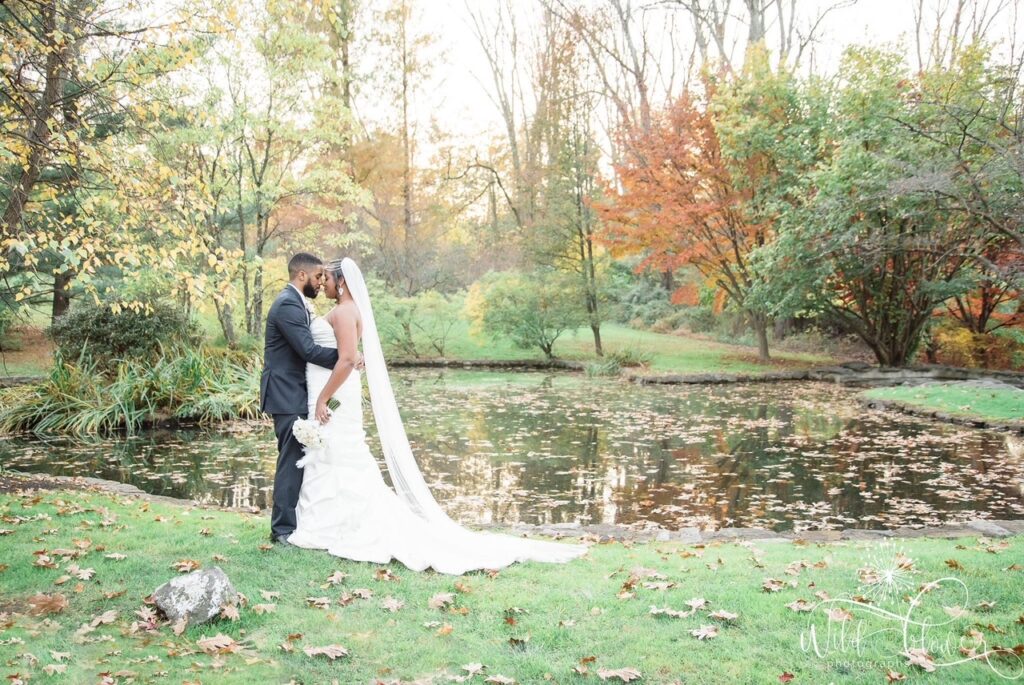 Wild Flower Photographs