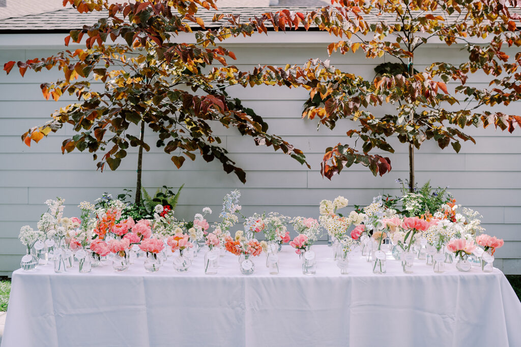 Carly Landolt Photography