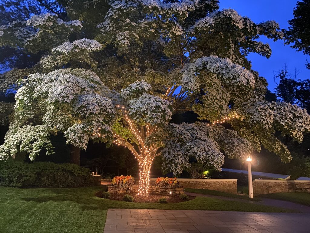 Appleford Estate at Night May